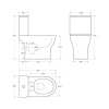 Чаша напольного унитаза BelBagno STEAM BB130CPR