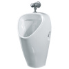Писсуар Sanita Luxe LONG 35х33х56 белый (LNGSLUR01)